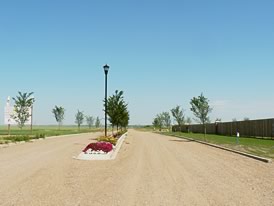 telegraph heights