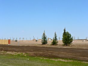 field