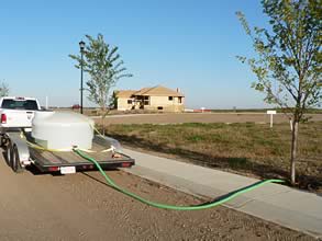 Watering Trees