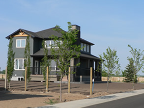 Show Home Backyard
